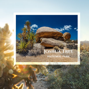 Postal Rocas, Plantas, Arena, Parque Nacional Joshua Tree