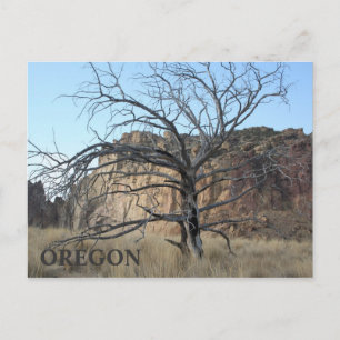 Postal Rocas rocosas de Smith