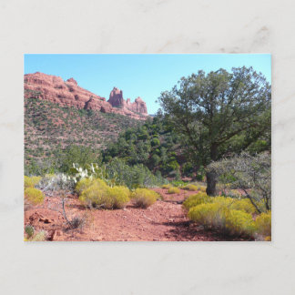 Postal Rocas rojas y Cacti II en Sedona Arizona