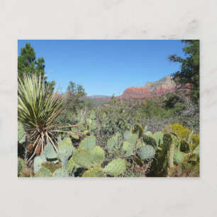 Postal Rocas Rojas y Cactus I