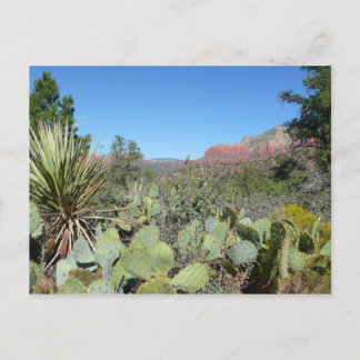 Postal Rocas rojas y cactus I