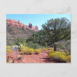 Postal Rocas Rojas y Cactus II en Sedona Arizona