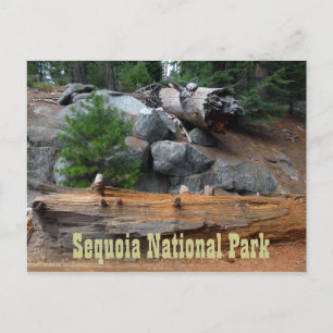 Postal Rocas y árboles, Parque Nacional Sequoia