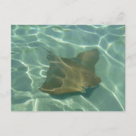 Postal Rochen im Meer Postkarte Grußkarte