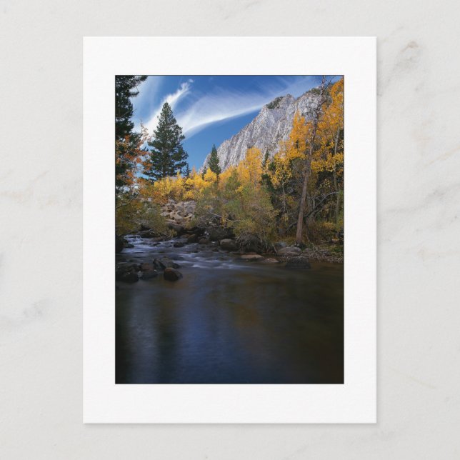 Postal "Rock Creek Canyon Gold" (Anverso)