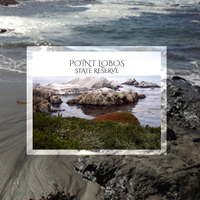 Postal Rock de aves, Reserva Estatal Point Lobos (Subido por el creador)