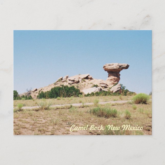 Postal Rock de camello, Nuevo México (Anverso)