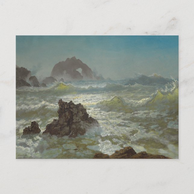 Postal Rock de foca, California, c.1872 (Anverso)