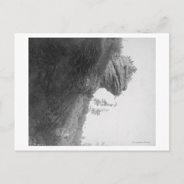 Postal Rock de la cabeza de rana en la fotografía de Dead (Anverso)