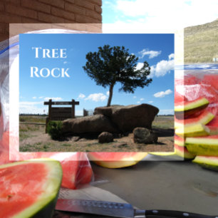 Postal Rock del árbol, mediana de la interestatal 80, Buf