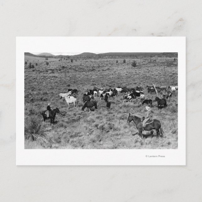 Postal Rock fuerte, Oregon Cowboy en el Jardín del Diablo (Anverso)