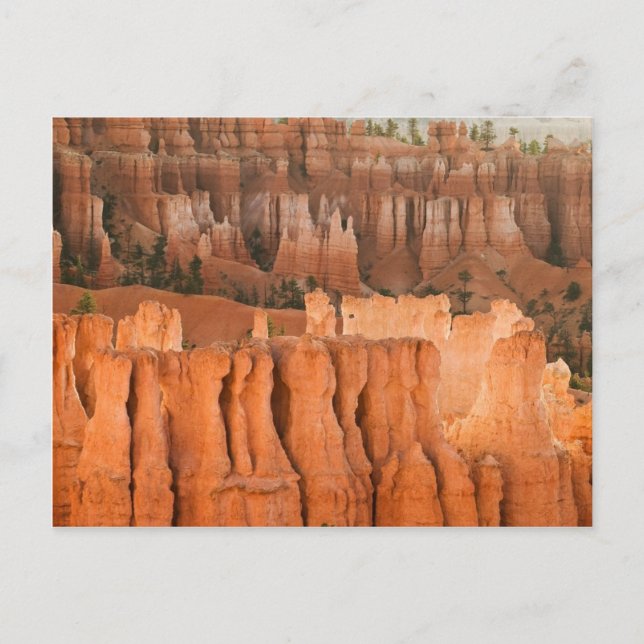 Postal Rock Garden (Anverso)