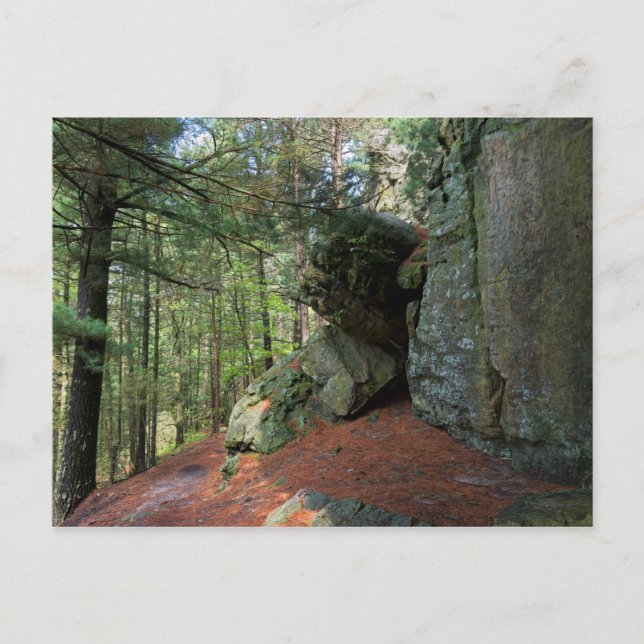 Postal Rock Wall and Woods en Castle Mound (Anverso)