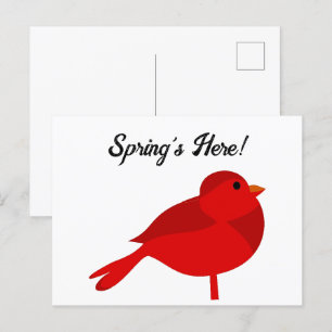 Postal Rockin Robin Cardenal Rojo Personalizado de Natura