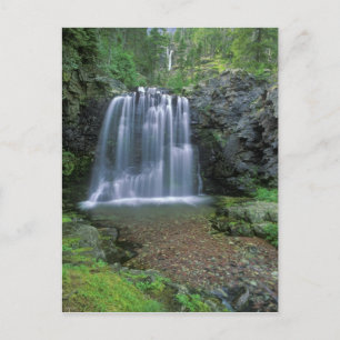 Postal Rockwell cae en el valle de dos medicamentos de