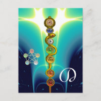 ROD DE ASCLEPIUS 7 CHAKRAS,YOGA ,ENERGÍA ESPIRITUA