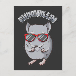 Postal Rodent Chinchilla con gafas de sol