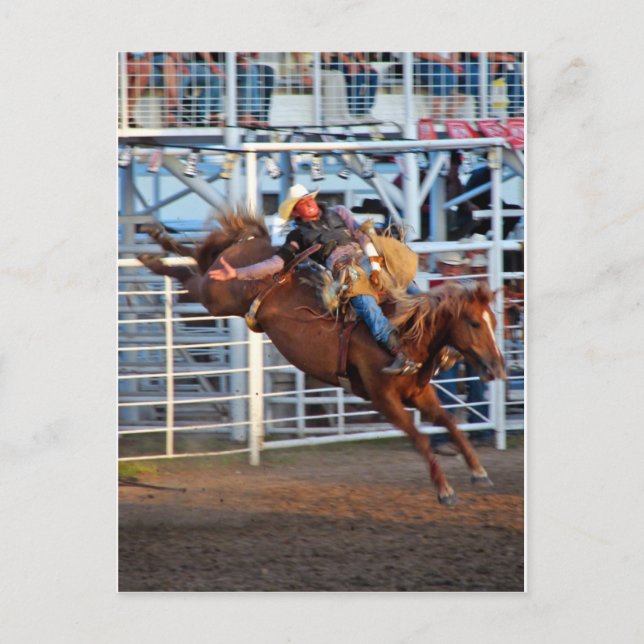 Postal ¡Rodeo! (Anverso)