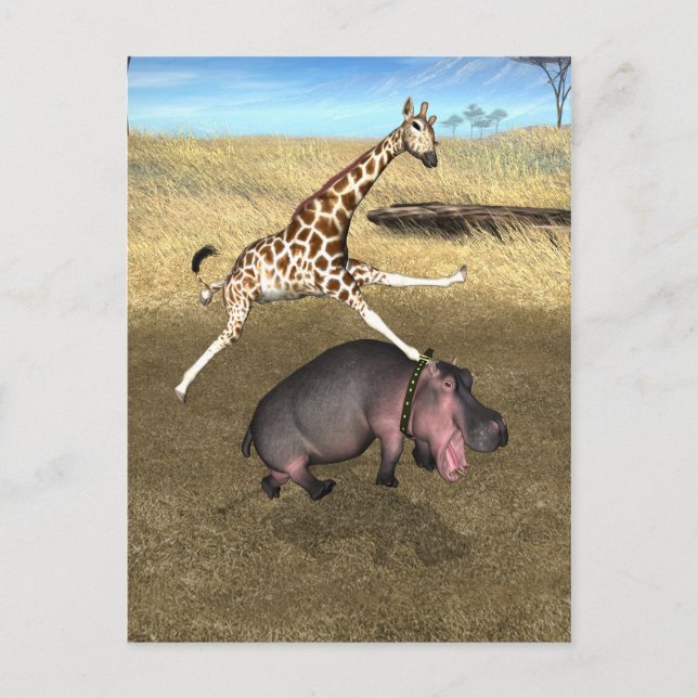 Postal Rodeo Hippo (Anverso)