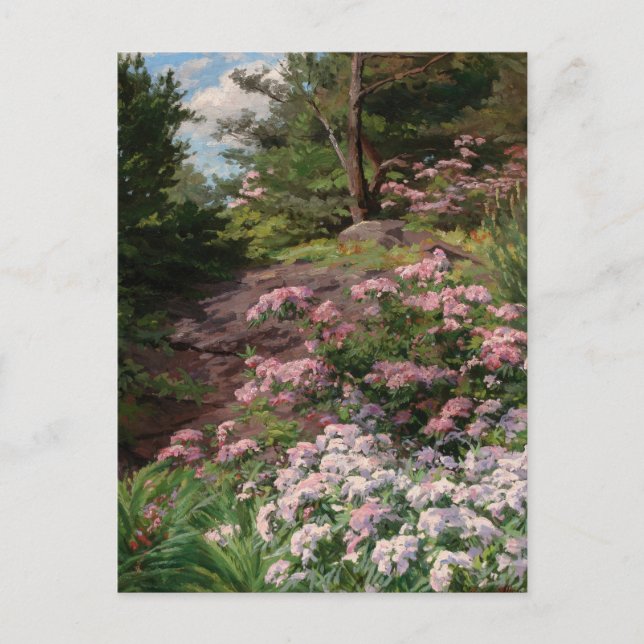Postal Rododendros rosa y blanco | Thomas Allen, Jr. (Anverso)