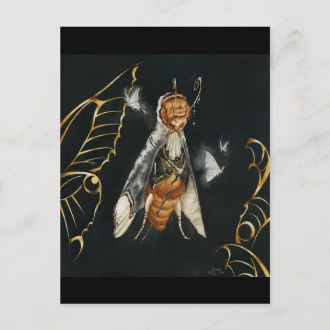 Postal Roi des papillons (Anverso)