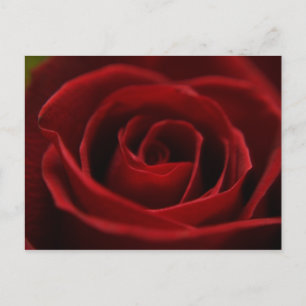 Postal roja y plácida