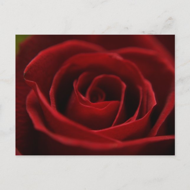 Postal roja y plácida (Anverso)