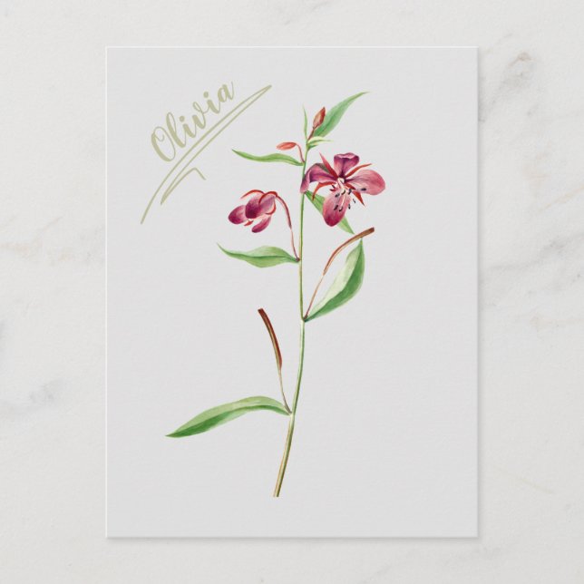 Postal rojo botánico minimal vintage para ella (Anverso)