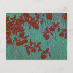 Postal Rojo de iris