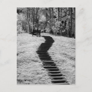 Postal Rojo infantil de árboles edificios y senderos en L