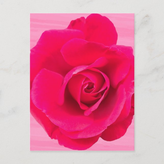 Postal Rojo Romántico Rosa Rosada v2 (Anverso)