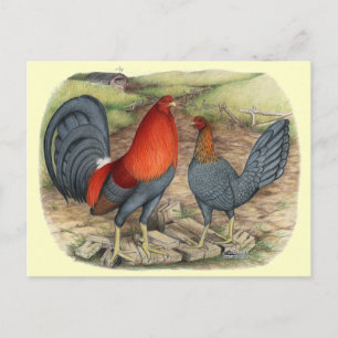 Postal Rojos azules de juego americano