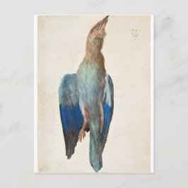 Postal Roller azul muerto de Albrecht Durer