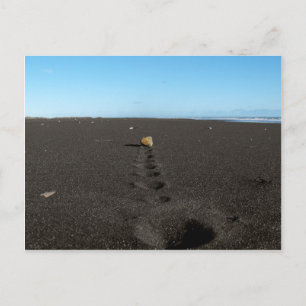 Postal Rolling Stone en la playa