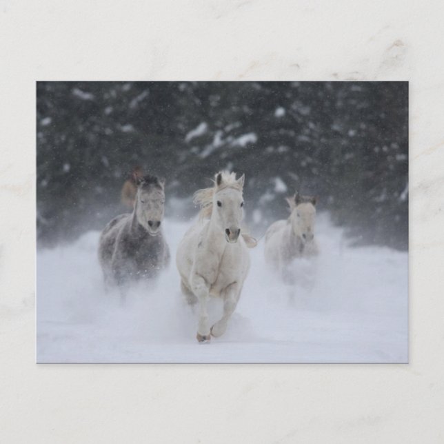 Postal Rolling Thunder (Anverso)