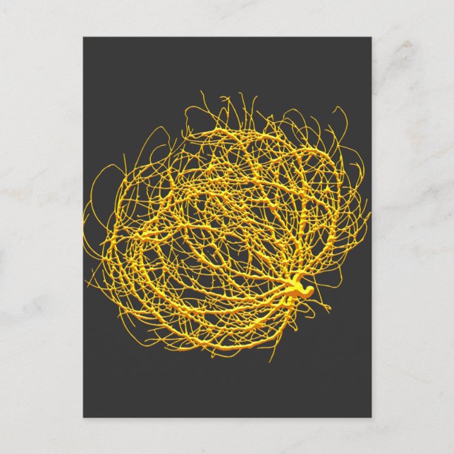 Postal RollinGolden Tumbleweed Planta Arte Original (Anverso)