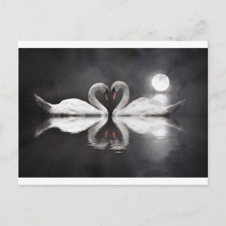 Postal Romance de cisne