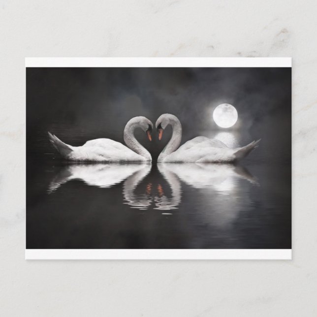 Postal Romance de cisne (Anverso)