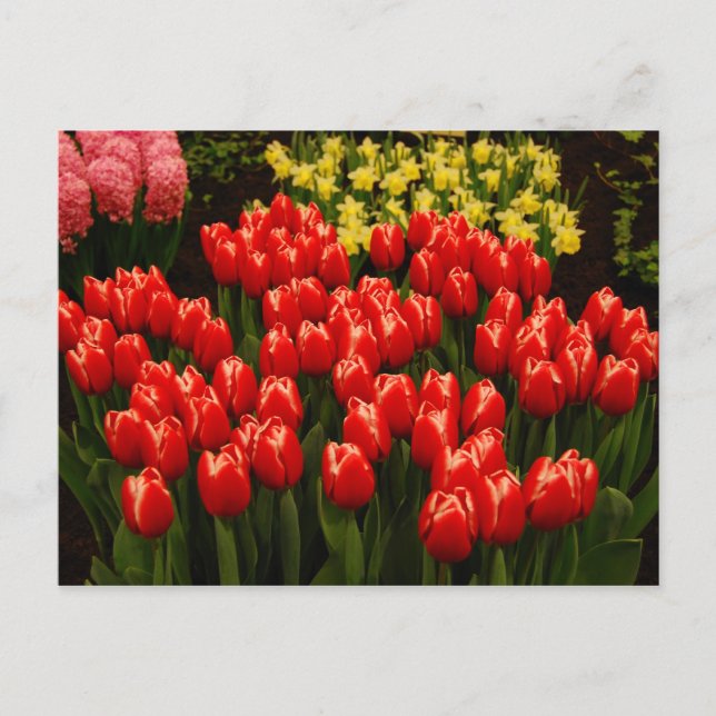 Postal Romance ruso (Anverso)