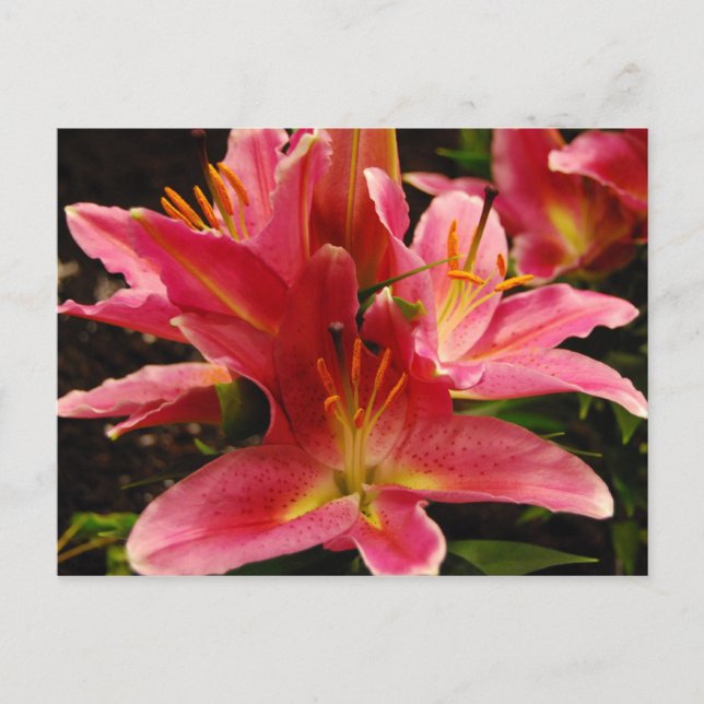 Postal Romance ruso (Anverso)