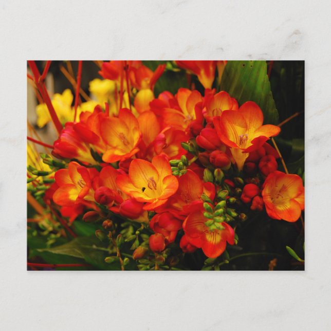 Postal Romance ruso (Anverso)