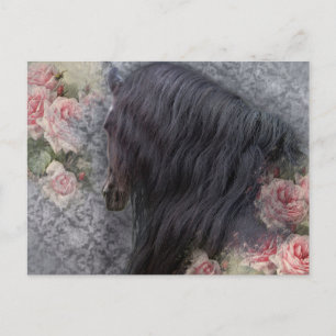 Postal Romancing The Horse ~ Postcard