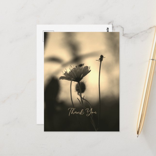 Postal Romantic Sepia Flower – Botanical Fantasy Thanks (Anverso/Reverso In Situ)