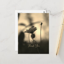 Romántica Flor Sepia – Agradecimiento Fantasía Bot