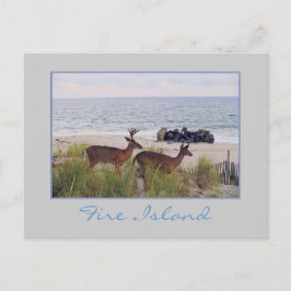 Postal "Romántico paseo nocturno por la playa"