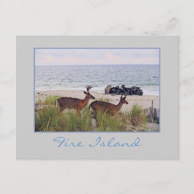 Postal "Romántico paseo nocturno por la playa" (Anverso)