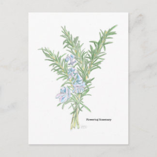 Postal Romero en Flor