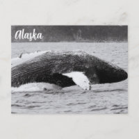 Rompecabezas de humpback en blanco y negro