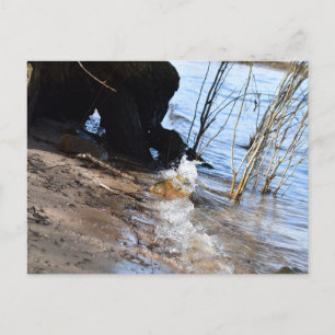 Postal Rompedores, vida en la playa