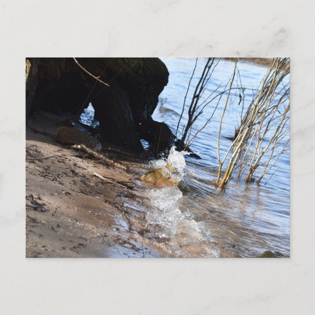 Postal Rompedores, vida en la playa (Anverso)